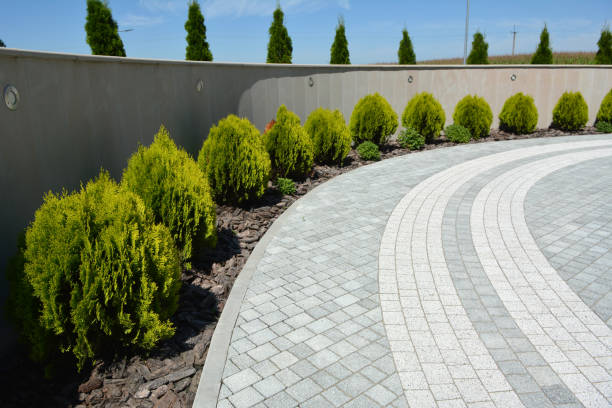 Best Driveway Paving Contractor  in Gas City, IN